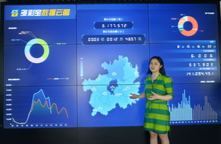 數(shù)博會(huì)擦亮貴陽(yáng)大數(shù)據(jù)名片——專(zhuān)訪貴州多彩寶互聯(lián)網(wǎng)服務(wù)副總經(jīng)理夏杰